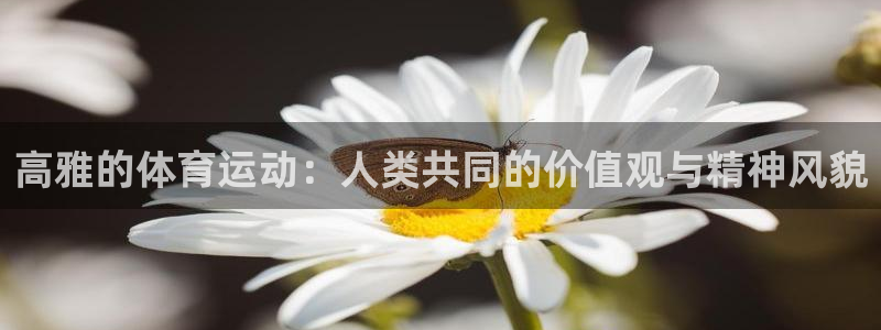 风速体育nba直播