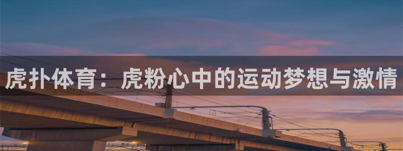 风速体育官网