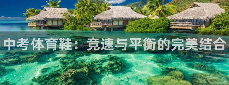 风速体育nba免费直播