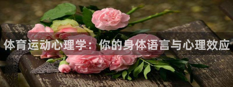 风速体育app官方下载：体育运动心理学：你的身体语言与心理效应