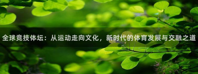 风速体育：全球竞技体坛：从运动走向文化，新时代的体育发展与交融之道