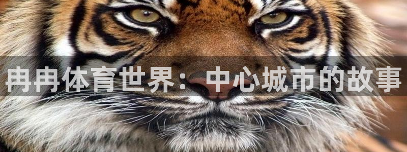 风速体育app下载安装最新版本：冉冉体育世界：中心城市的故事