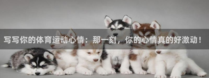 风速体育直播app：写写你的体育运动心情：那一刻，你的心情真的好激动！