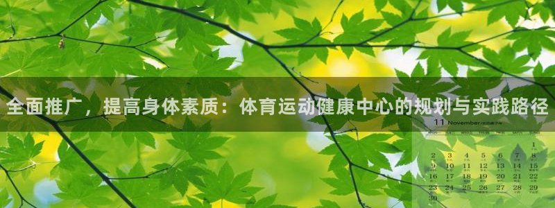 风速体育直播：全面推广，提高身体素质：体育运动健康中心的规划与实践路径