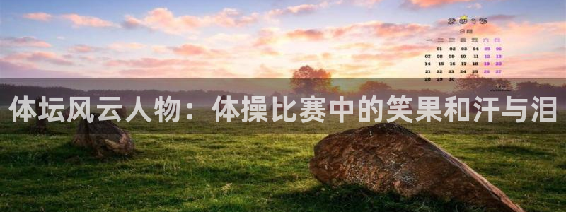 下载风速体育：体坛风云人物：体操比赛中的笑果和汗与泪