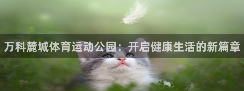 下载风速体育